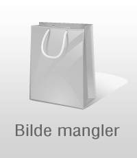 Fyringsveiledning